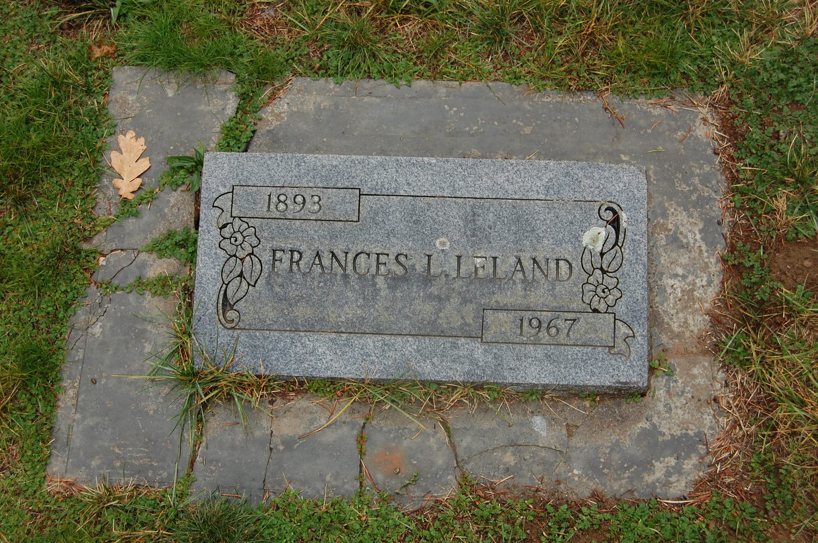 "Frances L